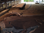 野島断層